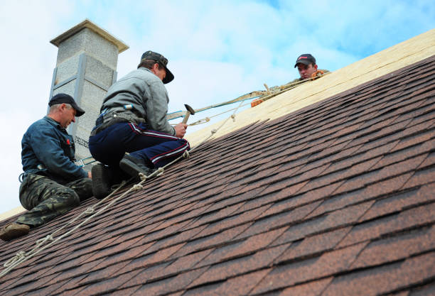 Best Shingle Roofing Installation  in Bellevue, OH